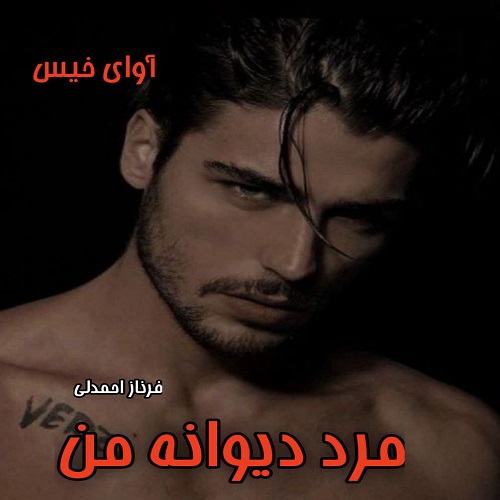 دانلود رمان مرد دیوانه من pdf از فرناز احمدلی دانلود رمان مرد دیوانه من pdf از فرناز احمدلی