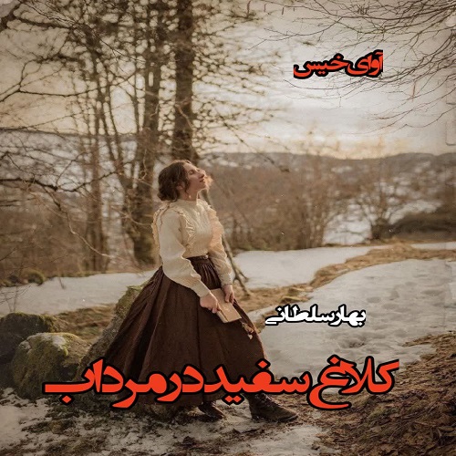 دانلود رمان کلاغ سفید در مرداب pdf از بهار سلطانی 