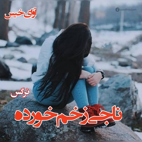 دانلود رمان ناجی زخم خورده pdf از نرگس