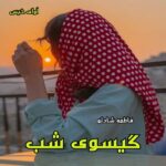 دانلود رمان گیسوی شب pdf از فاطمه شادلو