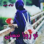 دانلود رمان تو رویا نیستی pdf از م.صالحی دانلود رمان تو رویا نیستی pdf از م.صالحی
