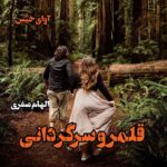 دانلود رمان قلمرو سرگردانی pdf از الهام صفری دانلود رمان قلمرو سرگردانی pdf از الهام صفری