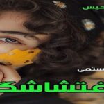 دانلود رمان اغتشاشگر pdf از رویا رستمی دانلود رمان اغتشاشگر pdf از رویا رستمی
