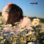 دانلود رمان غرور و آبرو (جلد چهارم) pdf از لیانا دیاکو
