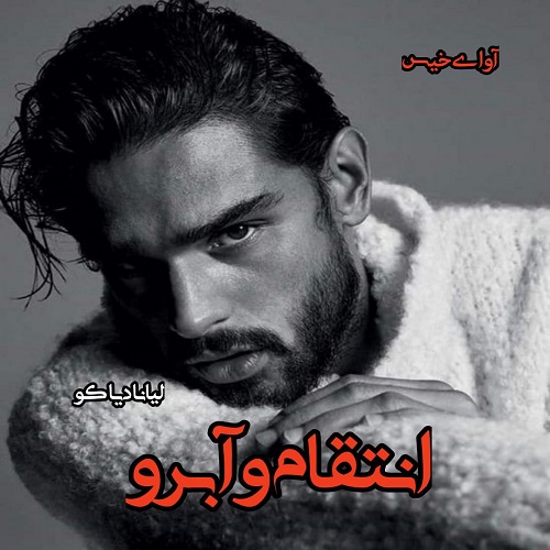دانلود رمان انتقام و آبرو pdf از لیانا دیاکو