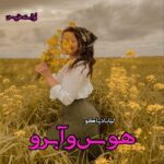 دانلود رمان هوس و آبرو (جلد سوم) pdf از لیانا دیاکو دانلود رمان هوس و آبرو (جلد سوم) pdf از لیانا دیاکو