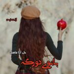 دانلود رمان بانوی دورگه pdf از دل آرام فاضل دانلود رمان بانوی دورگه pdf از دل آرام فاضل