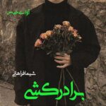 دانلود رمان برادرکشی pdf از شیما فراهانی دانلود رمان برادرکشی pdf از شیما فراهانی