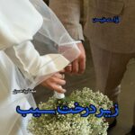 دانلود رمان زیر درخت سیب pdf از مهشید حسنی دانلود رمان زیر درخت سیب pdf از مهشید حسنی