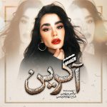 دانلود رمان آگرین pdf از نرگس برزویی