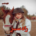 دانلود رمان راه سبز pdf از مریم پیروند