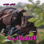 دانلود رمان آسیاب از سوزان pdf دانلود رمان آسیاب از سوزان pdf