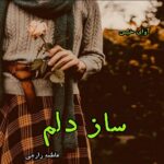 دانلود رمان ساز دلم از فاطمه زارعی pdf