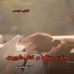 دانلود رمان جان پناه و کارداجین از ندا اسکندری pdf