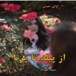 دانلود رمان از پیله تا پرنا از سپیده علیزاده pdf