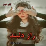 دانلود رمان راز دلبند از شیرین نورنژاد pdf