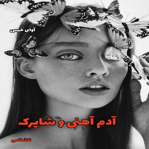 دانلود رمان آدم آهنی و شاپرک pdf از ناشناس دانلود رمان آدم آهنی و شاپرک pdf از ناشناس