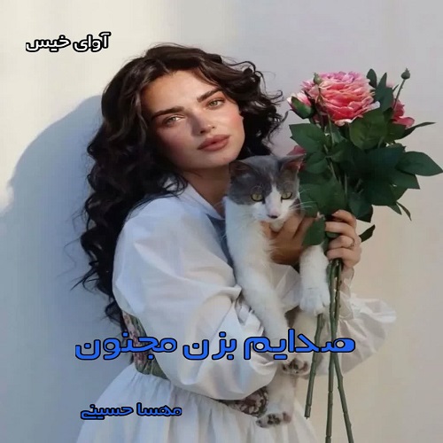 دانلود رمان صدایم بزن مجنون pdf از مهسا حسینی