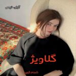 دانلود رمان گلاویژ pdf از شبنم کرمی