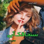دانلود رمان سنجاقک آبی pdf از الهام ندایی