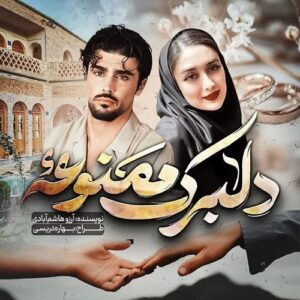 دانلود رمان دلبرک ممنوعه pdf از آرزو هاشم آبادی