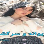 دانلود رمان دیوانه و سرگشته pdf از محیا نگهبان دانلود رمان دیوانه و سرگشته pdf از محیا نگهبان