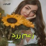 دانلود رمان زعم زرد pdf از زهرا زنده دلان