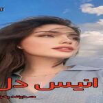 دانلود رمان انیس دل pdf از صدیقه بهران فر