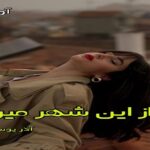 دانلود رمان من از این شهر میرم pdf از آذر یوسفی