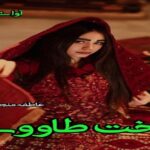 دانلود رمان تخت طاووس pdf از عاطفه منجزی
