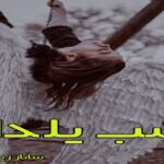 دانلود رمان شب یلدا pdf از ساناز زینعلی دانلود رمان شب یلدا pdf از ساناز زینعلی