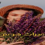 دانلود رمان میراث هوس pdf از مهین عبدی دانلود رمان میراث هوس pdf از مهین عبدی