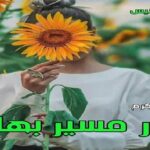 دانلود رمان در مسیر بهار pdf از آسیه علی کرم