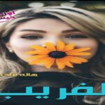 دانلود رمان دلفریب pdf از هاله نژاد صاحبی