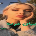 دانلود رمان زیبای عرب pdf از سهیلا بامیان دانلود رمان زیبای عرب pdf از سهیلا بامیان