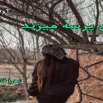 دانلود رمان عشق پرسه میزند pdf از زهرا فاطمی