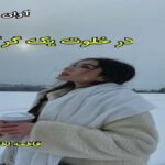 دانلود رمان در خلوت یک گرگ pdf از فاطمه لطفی دانلود رمان در خلوت یک گرگ pdf از فاطمه لطفی