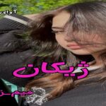 دانلود رمان ژیکان pdf از میم-ز