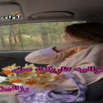 دانلود رمان شوالیه تاریک من pdf از رزالین