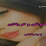 دانلود رمان تو فراموش و تو یادی pdf از زهرا بیگدلی دانلود رمان تو فراموش و تو یادی pdf از زهرا بیگدلی