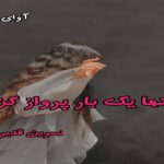 دانلود رمان تنها یک بار پرواز کن pdf از نسرین قدیری