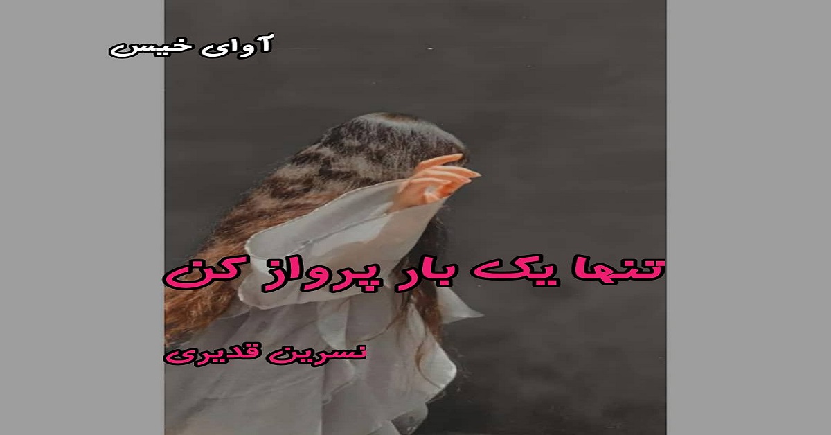دانلود رمان تنها یک بار پرواز کن pdf از نسرین قدیری