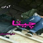 دانلود رمان چیتا pdf از سارا انضباطی دانلود رمان چیتا pdf از سارا انضباطی