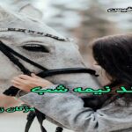 دانلود رمان لبخند نیمه شب pdf از مژگان زارع دانلود رمان لبخند نیمه شب pdf از مژگان زارع