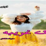 دانلود رمان یک غریبه pdf از حدیث افشار مهر