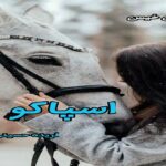 دانلود رمان اسپاکو pdf از فریده حسینی دانلود رمان اسپاکو pdf از فریده حسینی