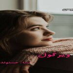 دانلود رمان نقطه ویرگول pdf از نساء حسنوند دانلود رمان نقطه ویرگول pdf از نساء حسنوند