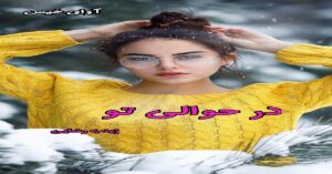 دانلود رمان در حوالی تو pdf از زینب رضایی