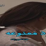 دانلود رمان مرد ممنوعه pdf از هدیه نصیرزاده دانلود رمان مرد ممنوعه pdf از هدیه نصیرزاده