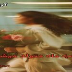 دانلود رمان از شب ماه متولد میشود pdf از مریم چاهی